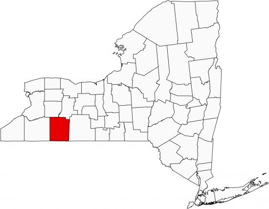 New York County Map - GIS Geography