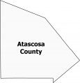 Atascosa County Map Texas