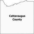 Cattaraugus County Map New York