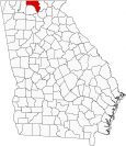Fannin County Map Georgia Locator