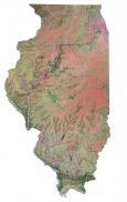 Illinois Satellite Map