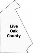 Live Oak County Map Texas
