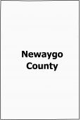 Newaygo County Map Michigan