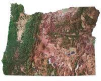 Oregon Satellite Map 200x160 