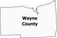 Wayne County Map New York