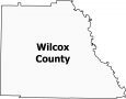 Wilcox County Map Georgia
