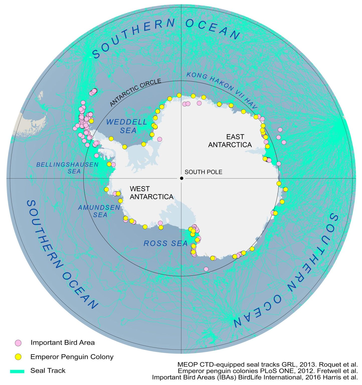 Antarctica Map Animals 1444x1536 