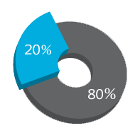 地理信息系统百分比 80% 20%