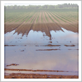 Agriculture Flooding