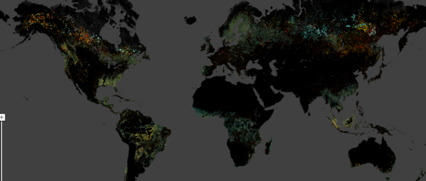 global forest change map maryland