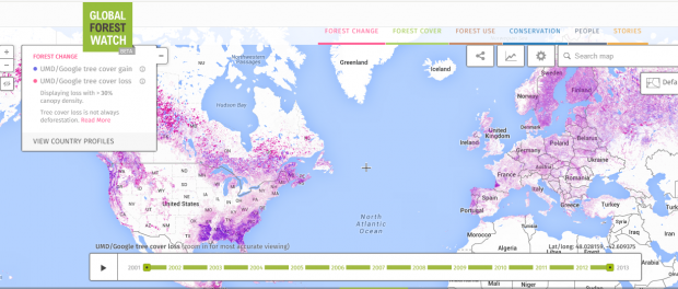 global forest watch - forest maps