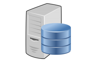 Database Management System