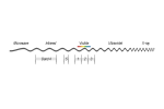 Multispectral example