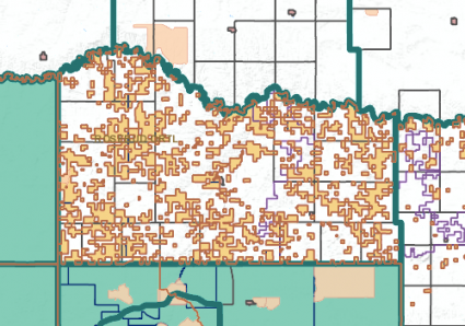 2020 US Census Geospatial TIGER/Line Data