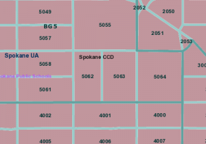 TIGER GIS Data