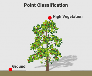 LiDAR Point Classification