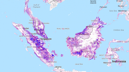 Mapa Florestal Global