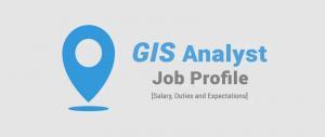 GIS Analyst Job: What to Expect