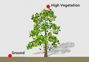 LiDAR High Vegetation