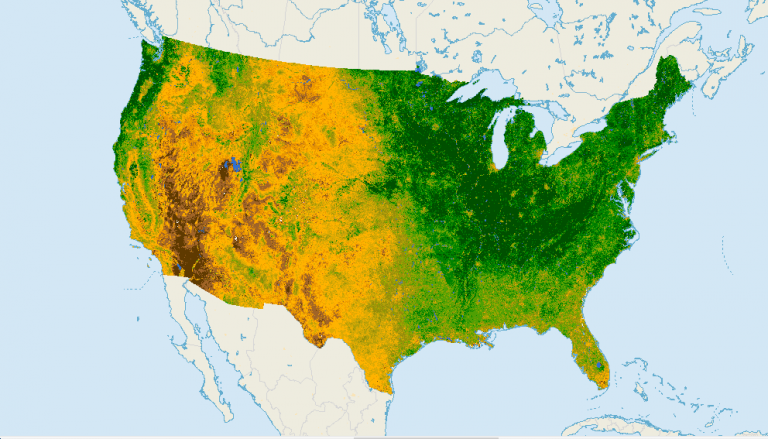 What is NDVI (Normalized Difference Vegetation Index)?
