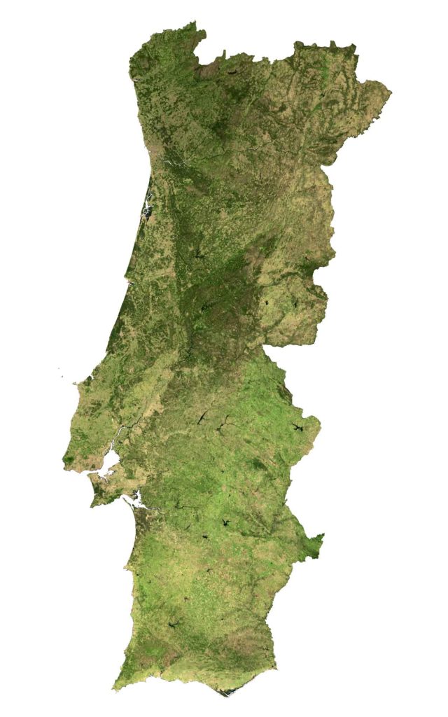 Portugal Satellite Map