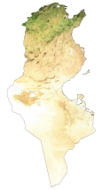 Tunisia Satellite Map
