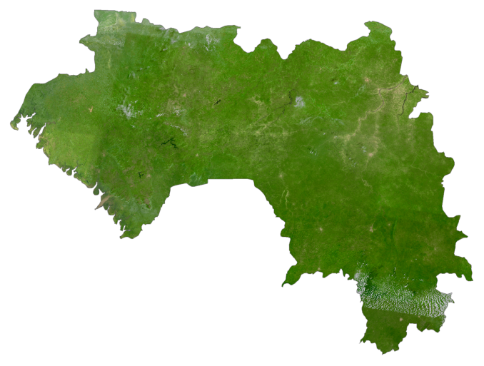 Guinea Satellite Map