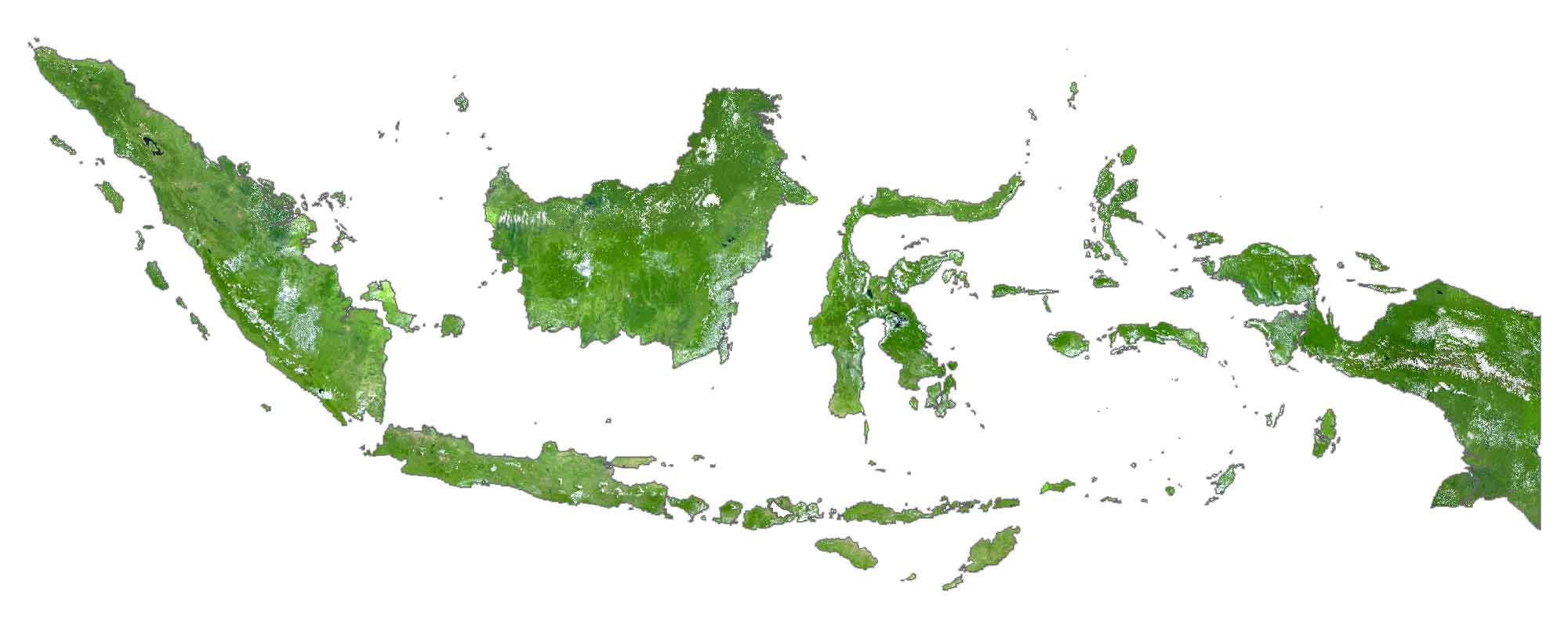 Indonesia Satellite Map