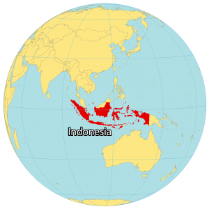 Indonesia World Map