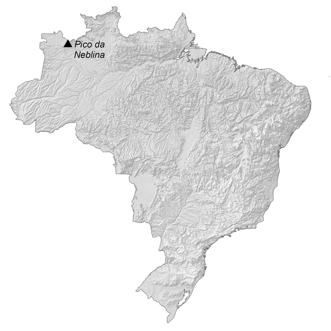 Brazil Elevation Map