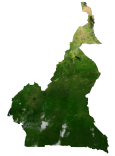 Cameroon Satellite Map