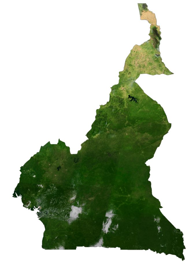喀麦隆卫星地图