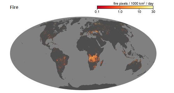 neo wildfire data