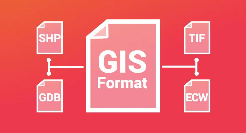 What are the three standard GIS data types?