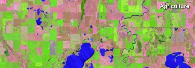 Landsat Agriculture