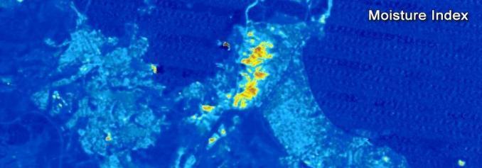 Landsat Moisture Index