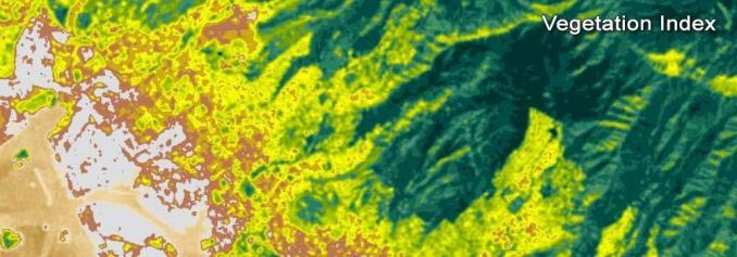 Landsat Vegetation Index