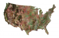 Satellite Map of USA – United States of America