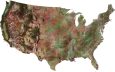 Satellite Map USA