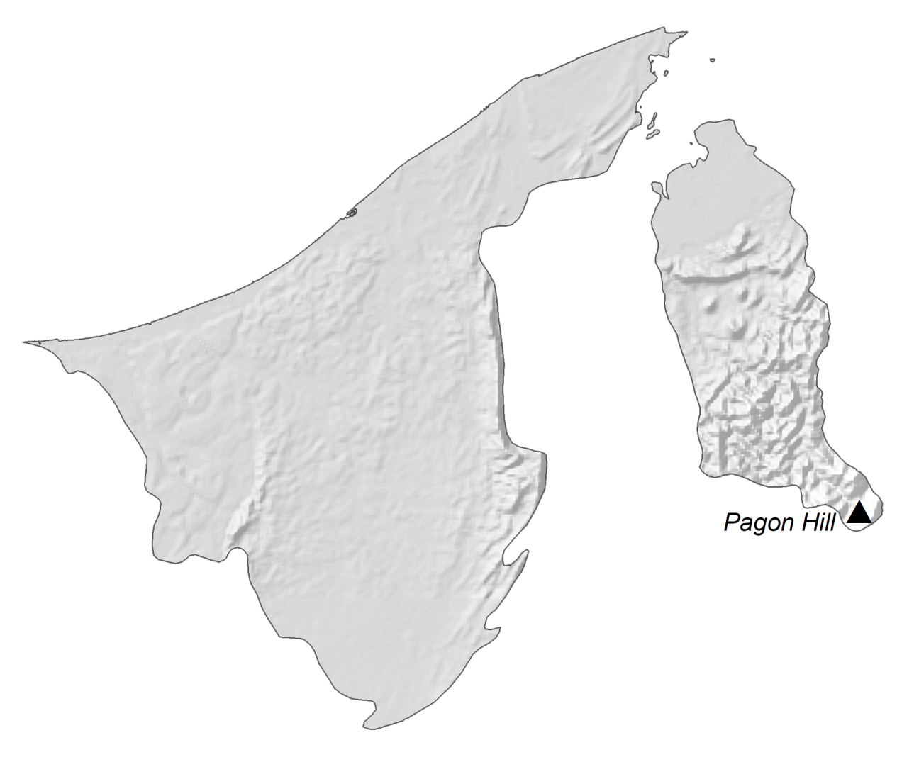 Brunei Elevation Map
