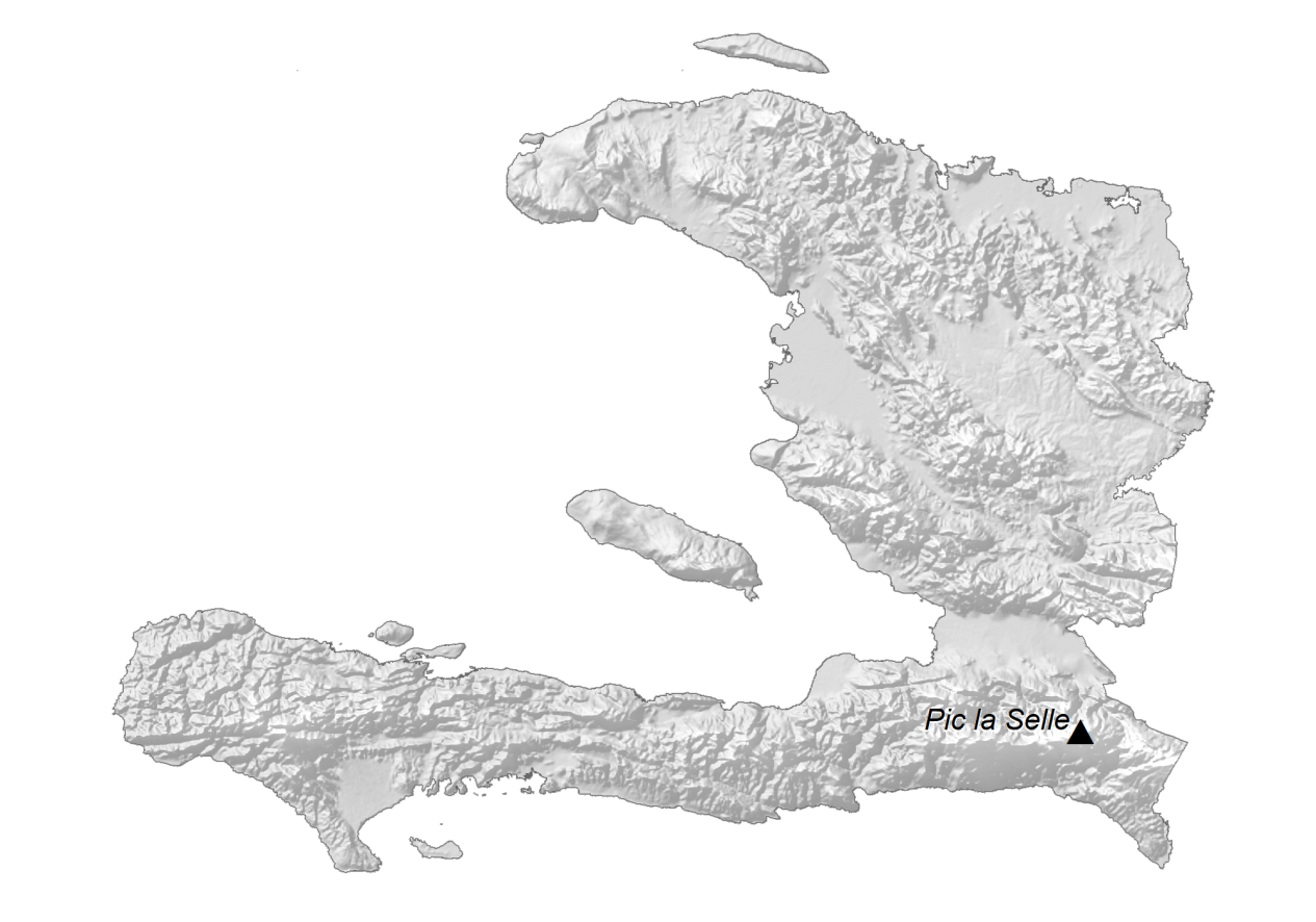 Haiti Elevation Map