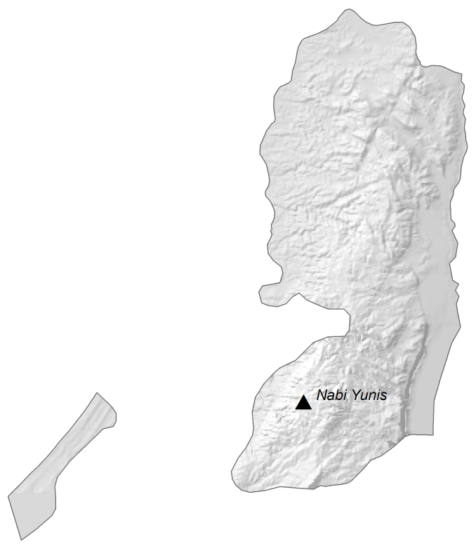 Palestine Elevation Map