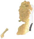 State of Palestine Satellite Map