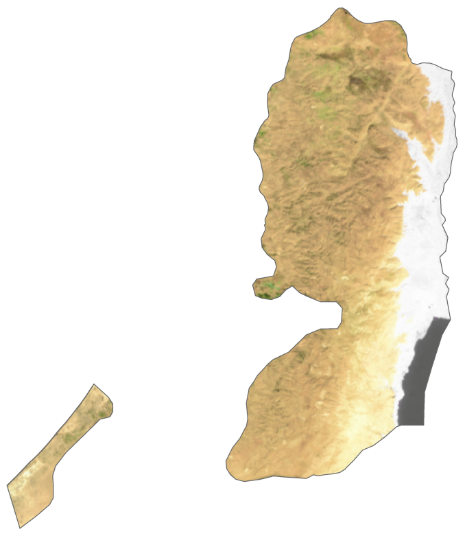 Palestine Satellite Map