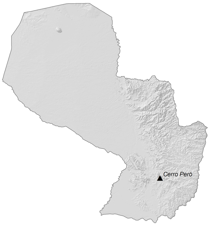 Paraguay Elevation Map