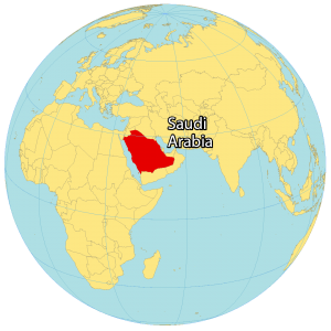 Arabia On World Map   Saudi Arabia World Map 300x300 