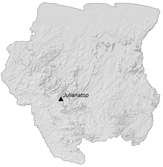 Suriname Elevation Map