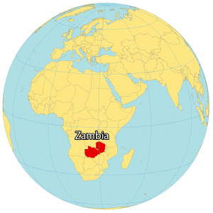 Zambia In World Map United States Map   Zambia World Map 300x300 