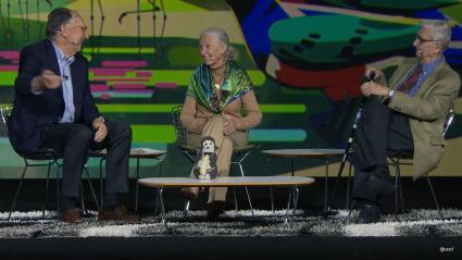 Esri UC Jane Goodell