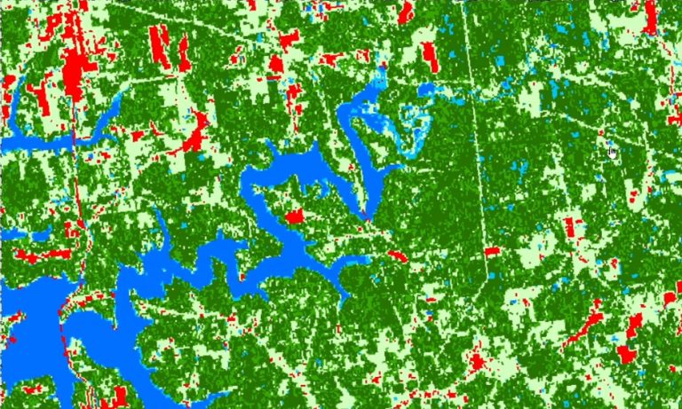 Final Land Cover Product